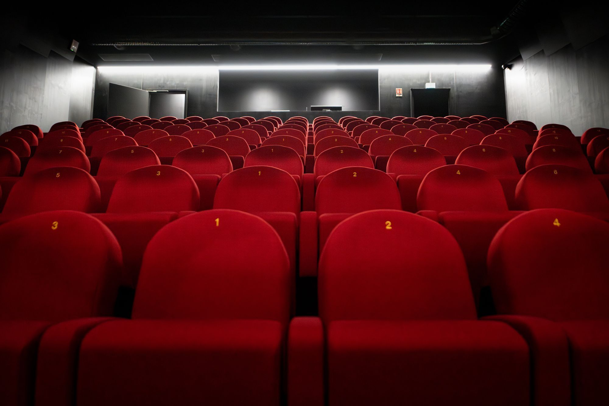 Salle Pierre Arditi