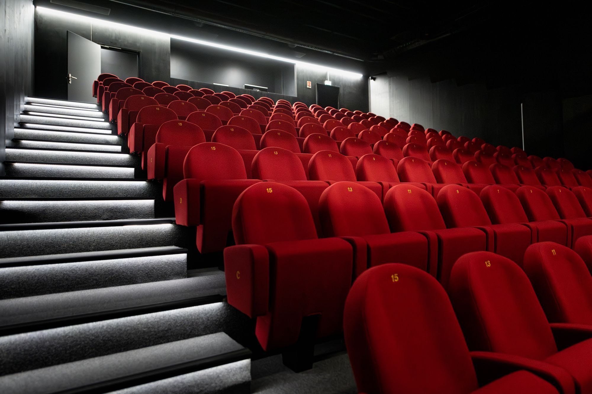 Salle Pierre Arditi
