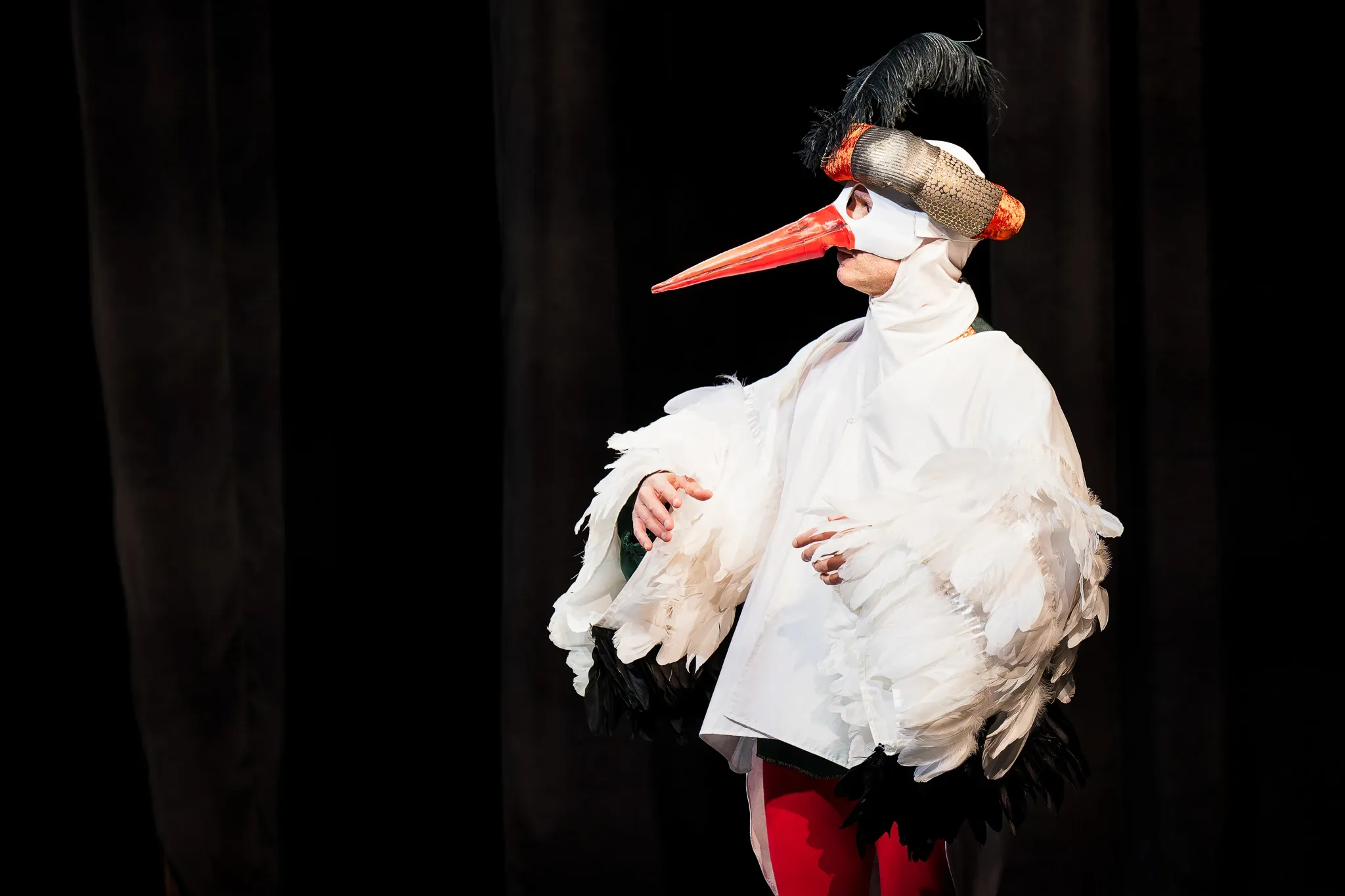 Le Calife Cigogne 6