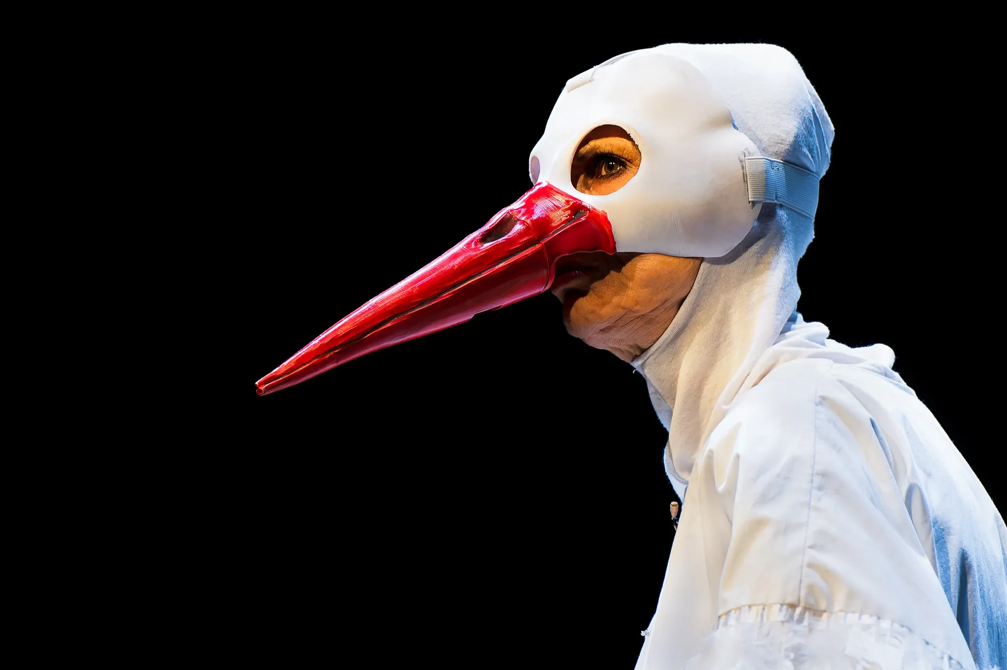 Le Calife Cigogne 8